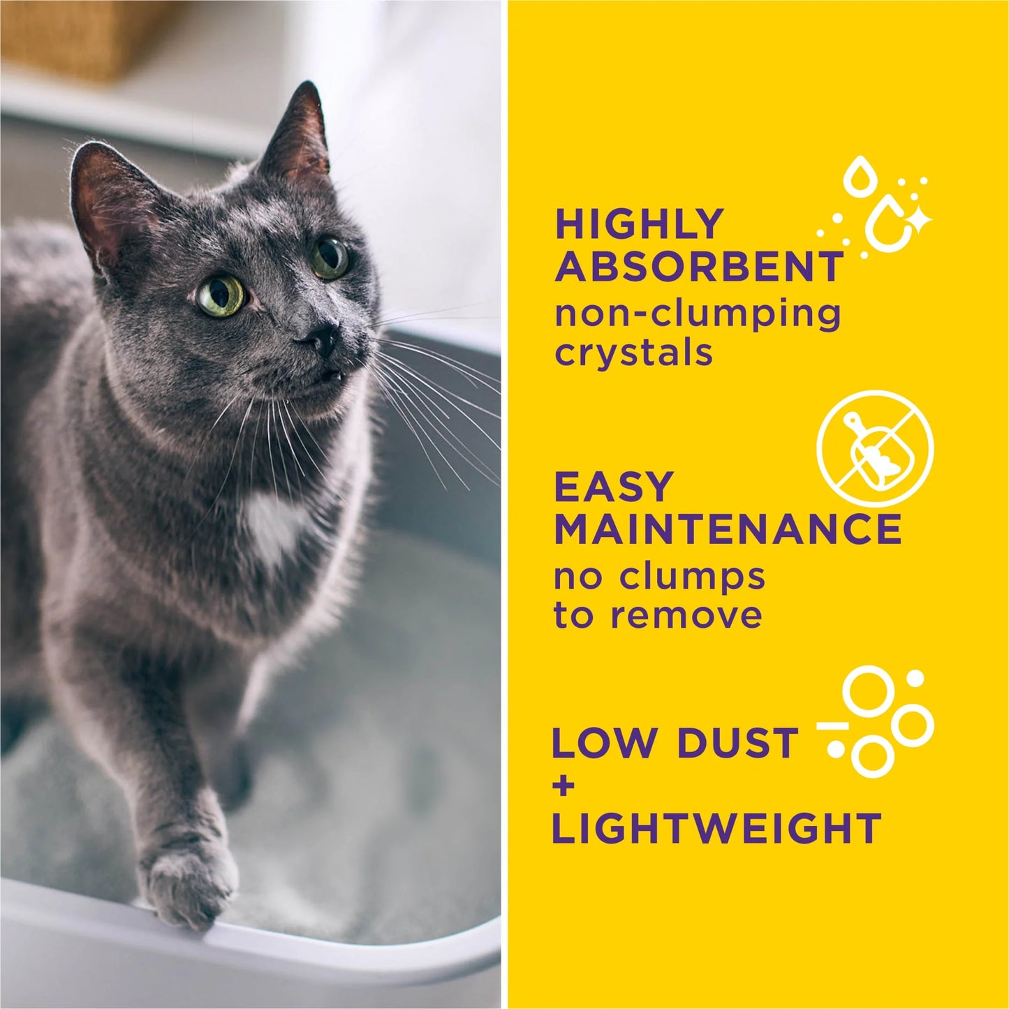 Alert Health Monitoring Cat Litter with Silica Crystals, 8 Lb Box