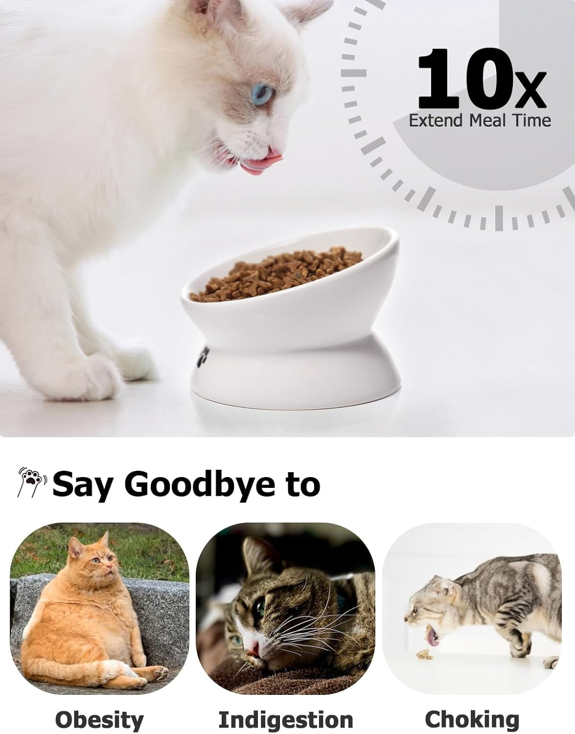 Cat Bowl anti-Vomiting