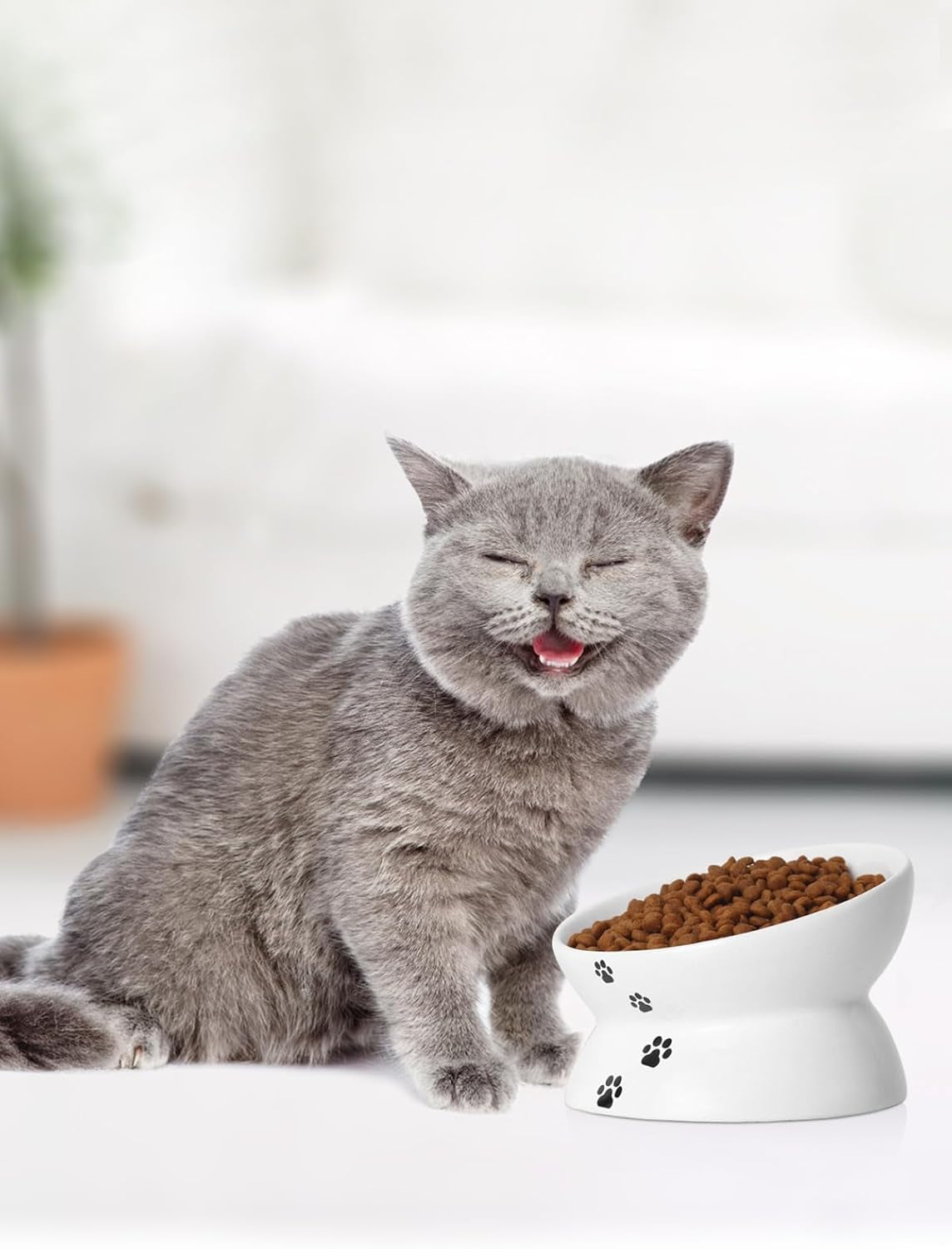 Cat Bowl anti-Vomiting