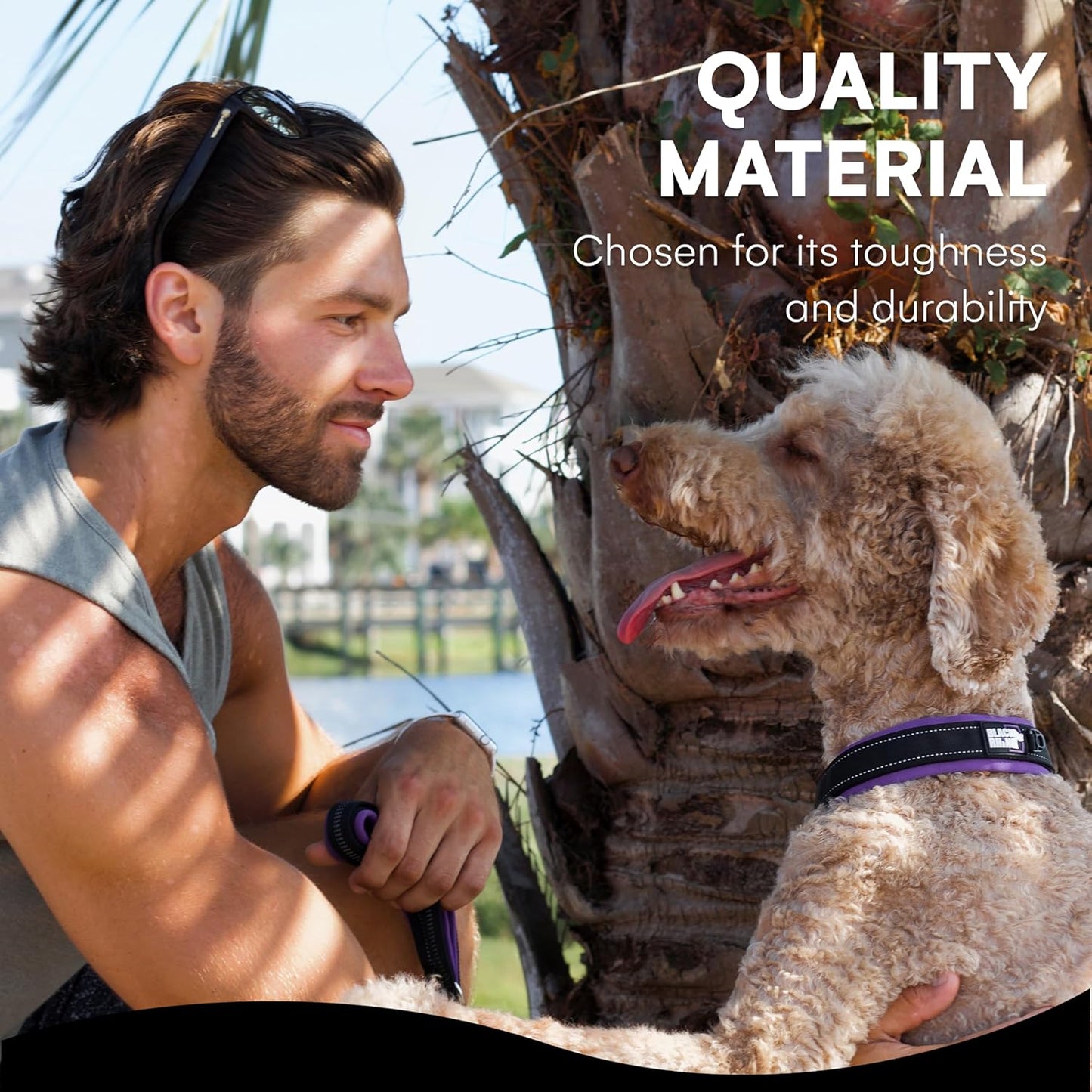 Reflective Dog Collar