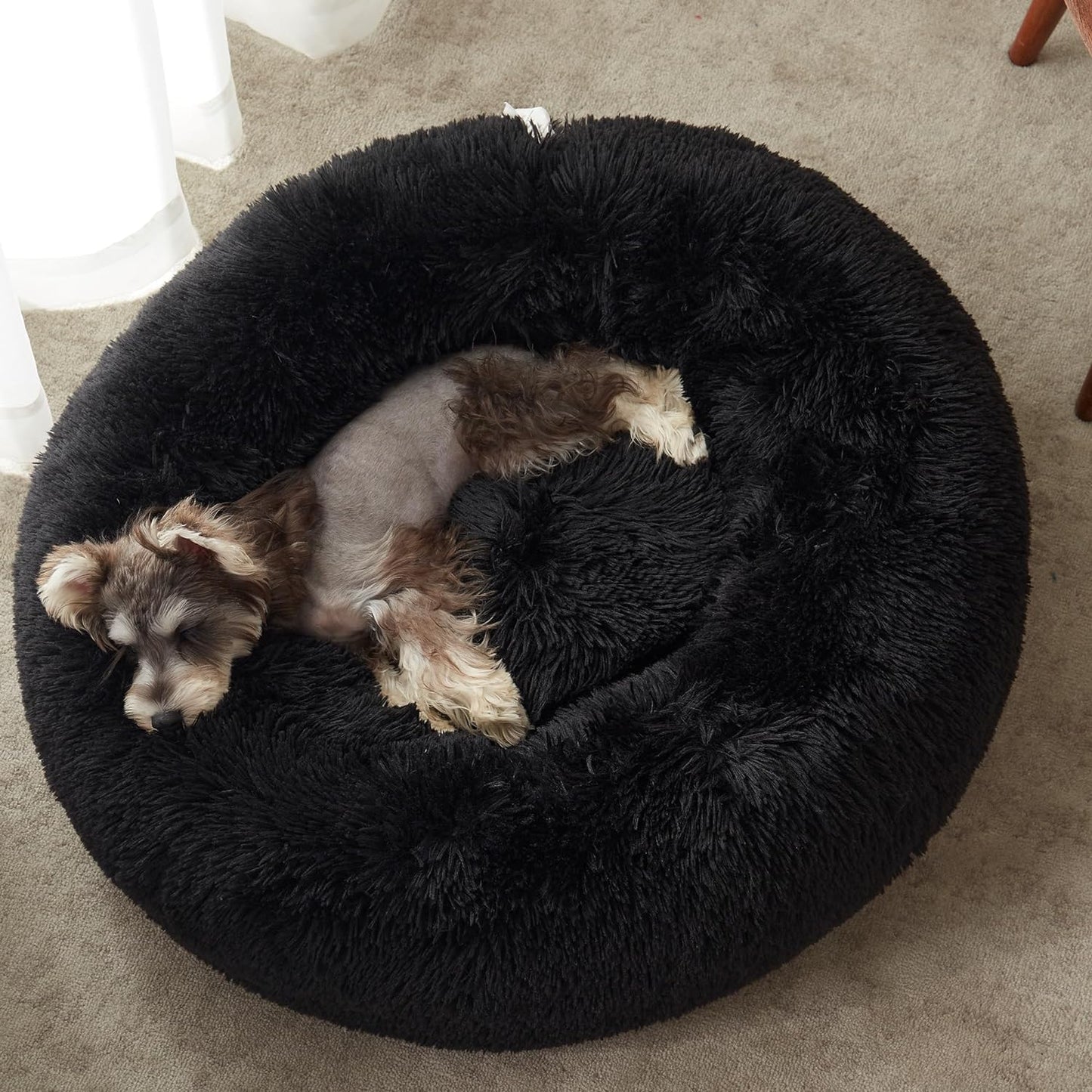 Calming Dog Bed