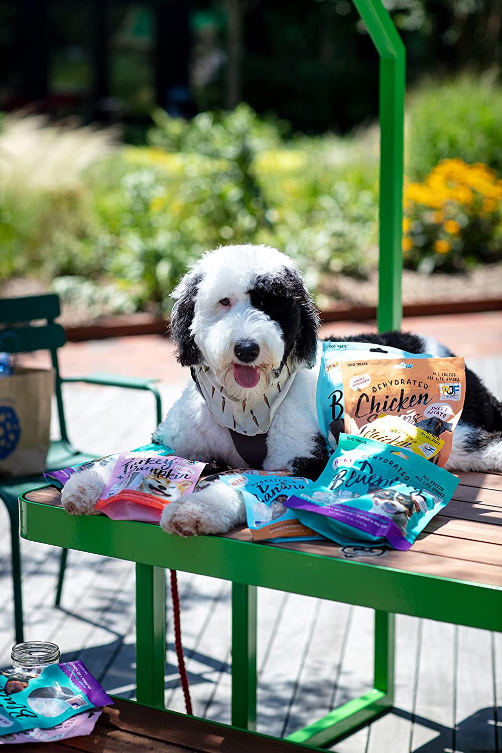 Premium Dog Jerky Treats