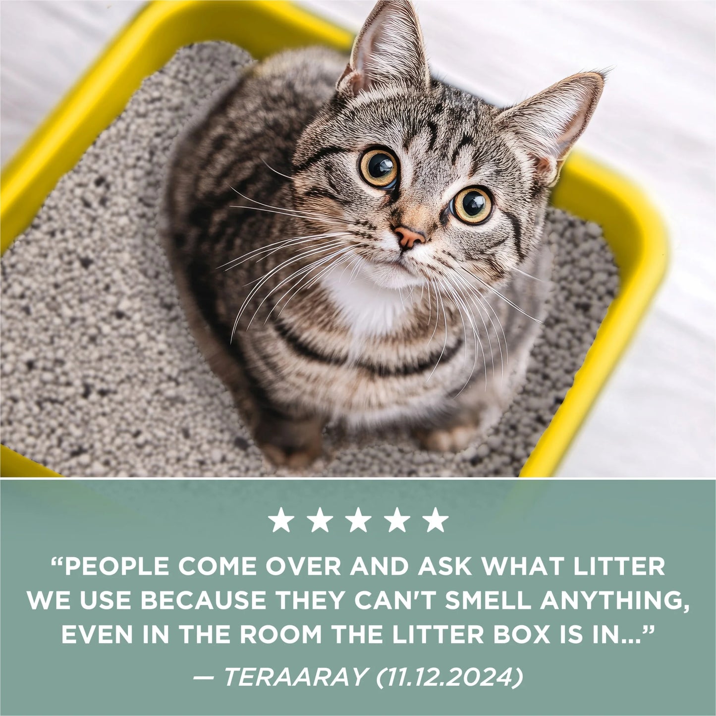 Free and Clean Unscented Cat Litter