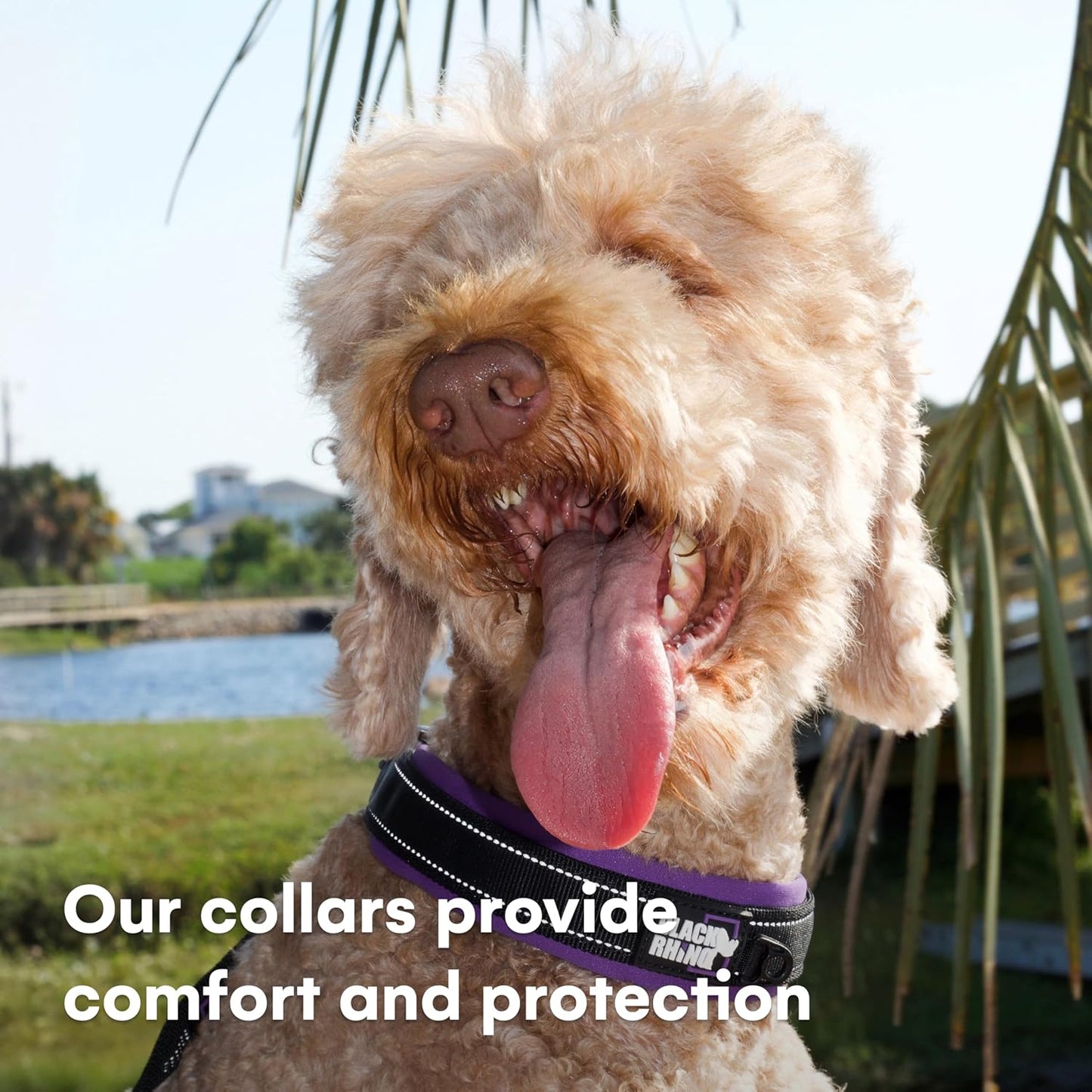 Reflective Dog Collar