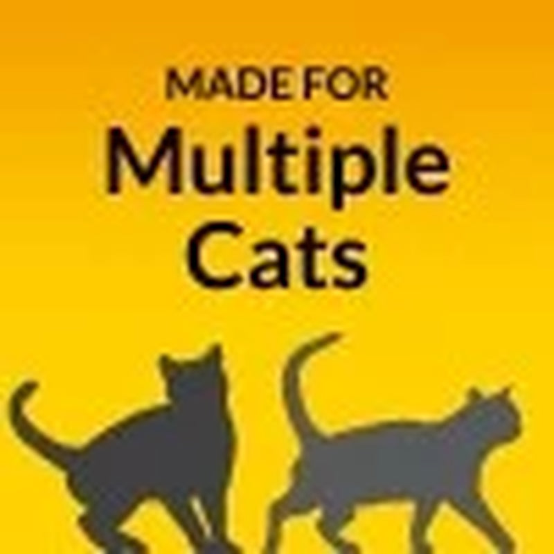 Non-Clumping Cat Litter-Low Dust
