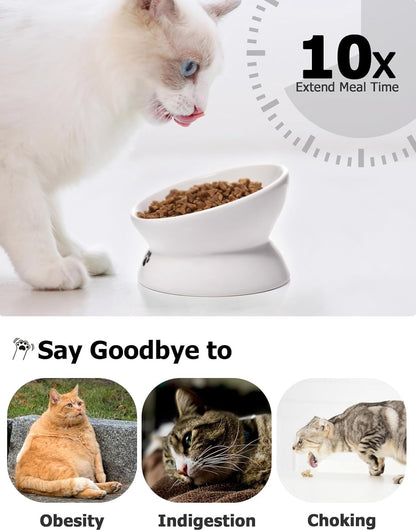 Cat Bowl anti-Vomiting