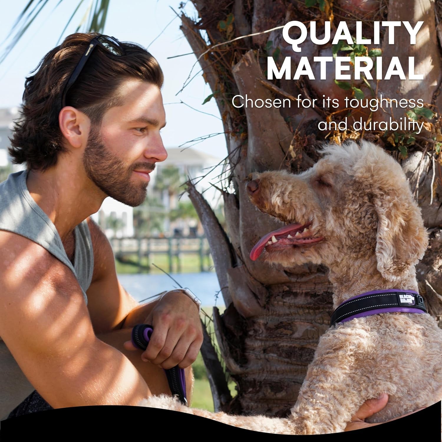 Reflective Dog Collar