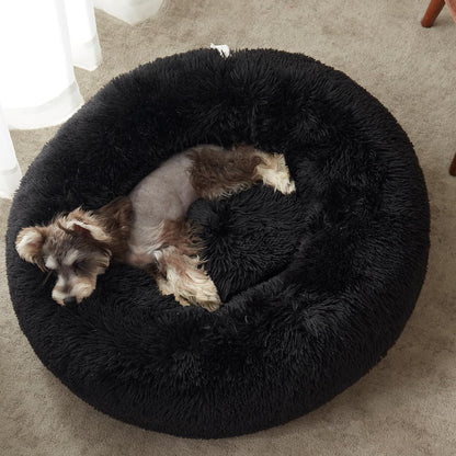 Calming Dog Bed