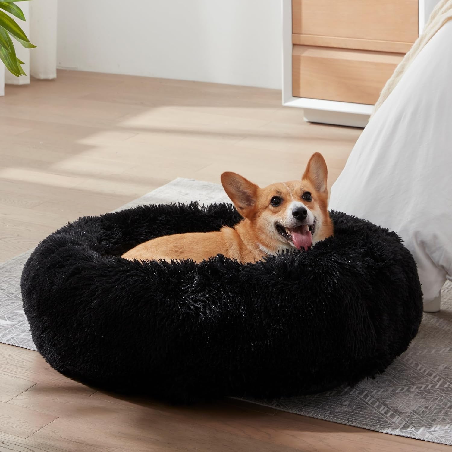 Calming Dog Bed