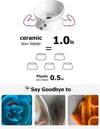 Cat Bowl anti-Vomiting