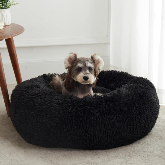 Calming Dog Bed